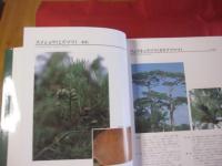 図鑑 　　 琉球列島有用樹木誌　　   天野 哲夫 著  　　澤岻 安喜 写真    　　限定２０００部     　　   【沖縄・琉球・植物・自然】