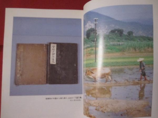 まんが偉人伝 沖縄史の五人 沖縄の文化を高めた 程 順則 沖縄 琉球 歴史 文化 人物 原作 池原 正一 まんが 保里 保則 文華堂書店 古本 中古本 古書籍の通販は 日本の古本屋 日本の古本屋 まんが偉人伝 沖縄史の五人 沖縄の文化を高めた 程 順則 沖縄 琉球 歴史 文化 人物 原作 池原 正一 まんが 保里 保則 文華堂書店 古本 中古本 古書籍の通販は 日本の古本屋 日本の古本屋
