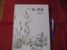 おきなわの木と草花 【沖縄・琉球・自然・植物】