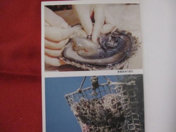 世界初 黒蝶真珠誕生物語 そのふるさと 沖縄の海と風土 沖縄 琉球 歴史 文化 自然 著者 大浜 英祐 文華堂書店 古本 中古本 古書籍の通販は 日本の古本屋 日本の古本屋