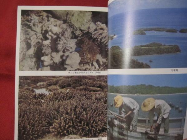 世界初 黒蝶真珠誕生物語 そのふるさと 沖縄の海と風土 沖縄 琉球 歴史 文化 自然 著者 大浜 英祐 文華堂書店 古本 中古本 古書籍の通販は 日本の古本屋 日本の古本屋