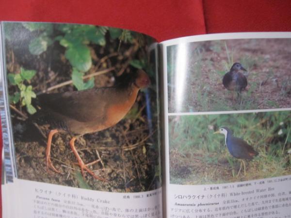 改訂 沖縄県の野鳥 写真でみる野鳥図鑑 【沖縄・琉球・自然