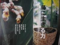 ていねいに、くらす ◆いただきたい！ 沖縄の底力   【沖縄・琉球・歴史・文化】
