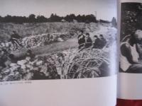 平良孝七 写真集『太陽と風とカンカラ三線』 沖縄カンカラ三線 1961-1981 平良孝七 写真集 Okinawa Kankara Sanshin