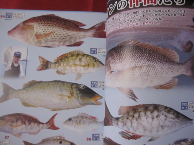 初心者でも狙えば釣れる 沖縄 タマン釣り入門 最新版 特集 狙え ７０ｃｍオーバーのタマン 沖縄 琉球 趣味 アウトドア フィッシング 編集 フィッシング沖縄社編集部 古本 中古本 古書籍の通販は 日本の古本屋 日本の古本屋
