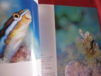 うみまーる ～水の惑星の仲間たち～  【自然・風景・癒し・写真集】