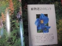 新・花と植物百科　   英国王立園芸協会監修 　   ガーデニングを楽しむすべての園芸家に贈る   　  【自然・庭園・高木・低木・サボテン】