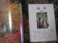 新・花と植物百科　   英国王立園芸協会監修 　   ガーデニングを楽しむすべての園芸家に贈る   　  【自然・庭園・高木・低木・サボテン】