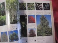 新・花と植物百科　   英国王立園芸協会監修 　   ガーデニングを楽しむすべての園芸家に贈る   　  【自然・庭園・高木・低木・サボテン】