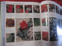 新・花と植物百科　   英国王立園芸協会監修 　   ガーデニングを楽しむすべての園芸家に贈る   　  【自然・庭園・高木・低木・サボテン】