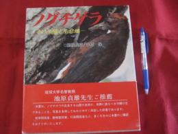 ノグチゲラ　　　　  ― 　その生態と生息地　 ―  　  　　　　  【沖縄・琉球・自然・生物・野鳥・キツツキ・国指定天然記念物】