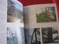 国指定天然記念物     　　 ノグチゲラ   　　   ―  　その生態と生息地　  ― 　　     玉城長正  中村 保   　著     　　  沖縄あき書房   　発行    　　        【沖縄・琉球・自然・生物・野鳥・キツツキ】