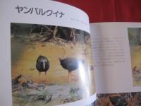写真集 　　　沖縄の野鳥     　　　　  【沖縄・琉球・自然・生物・動物・鳥類】　