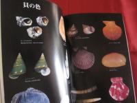 沖縄の自然  　　　貝の世界 　　　カラー百科シリーズ⑩    　　　【沖縄・琉球・自然・海洋生物・動物・図鑑】