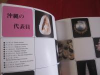 沖縄の自然  　　　貝の世界 　　　カラー百科シリーズ⑩    　　　【沖縄・琉球・自然・海洋生物・動物・図鑑】