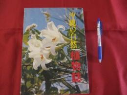沖縄の自然　　　植物誌 　　　カラー百科シリーズ　　⑦　　　　　 【琉球・自然・生物・図鑑】
