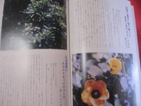 沖縄の自然　　　植物誌 　　　カラー百科シリーズ　　⑦　　　　　 【琉球・自然・生物・図鑑】