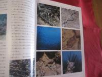 沖縄の風土記  　沖縄は生きている 　　  【沖縄・琉球・歴史・文化・離島】