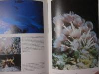 サンゴ礁の自然誌　  サンゴ礁を知る決定版！！  　 【自然・海洋生物・環境】