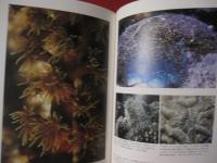 サンゴ礁の自然誌　  サンゴ礁を知る決定版！！  　 【自然・海洋生物・環境】