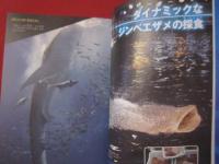 沖縄美ら海水族館物語   （ちゅらうみ）   ◆ジンベエとマンタが教えてくれたこと　　     【沖縄・琉球・文化・海洋生物】