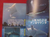 沖縄美ら海水族館物語   （ちゅらうみ）   ◆ジンベエとマンタが教えてくれたこと　　     【沖縄・琉球・文化・海洋生物】