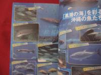 沖縄美ら海水族館物語   （ちゅらうみ）   ◆ジンベエとマンタが教えてくれたこと　　     【沖縄・琉球・文化・海洋生物】