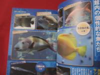 ☆沖縄美ら海水族館物語　   （ちゅらうみ） 　  ◆ジンベエとマンタが教えてくれたこと  　　   【沖縄・琉球・文化・海洋生物】
