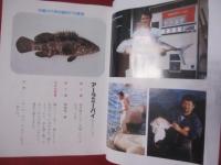 ☆最新　 沖縄の磯釣り　　　 【沖縄・琉球・自然・趣味・フィッシング・海洋レジャー】