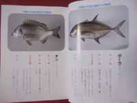 ☆最新　 沖縄の磯釣り　　　 【沖縄・琉球・自然・趣味・フィッシング・海洋レジャー】