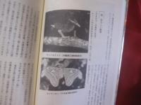 シマ・ナイチャーの見聞録　　　沖縄移住者の見たり聞いたり　　　　　【沖縄・琉球・歴史・文化】