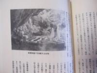 シマ・ナイチャーの見聞録　　　沖縄移住者の見たり聞いたり　　　　　【沖縄・琉球・歴史・文化】