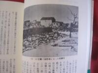 農兵隊    　　＝ 　鍬の少年戦士　 ＝ 　　　　  　    【沖縄・琉球・戦争・歴史・太平洋戦争・沖縄戦】