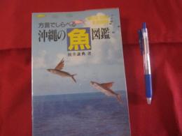 ☆方言でしらべる 　  沖縄の魚図鑑 　　    【沖縄・琉球・自然・生物】