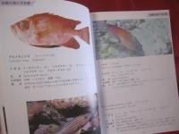 ☆方言でしらべる 　  沖縄の魚図鑑 　　　　    【沖縄・琉球・自然・海洋生物】