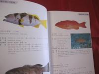 ☆方言でしらべる 　  沖縄の魚図鑑 　　　　    【沖縄・琉球・自然・海洋生物】