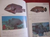☆方言でしらべる 　  沖縄の魚図鑑 　　　　    【沖縄・琉球・自然・海洋生物】