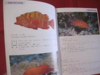 ☆方言でしらべる 　  沖縄の魚図鑑 　　　　    【沖縄・琉球・自然・海洋生物】