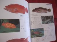 ☆方言でしらべる 　  沖縄の魚図鑑 　　　　    【沖縄・琉球・自然・海洋生物】
