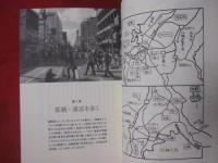 さらに  ひたすら歩いた沖縄みちばた紀行    【沖縄・琉球・歴史・文化】