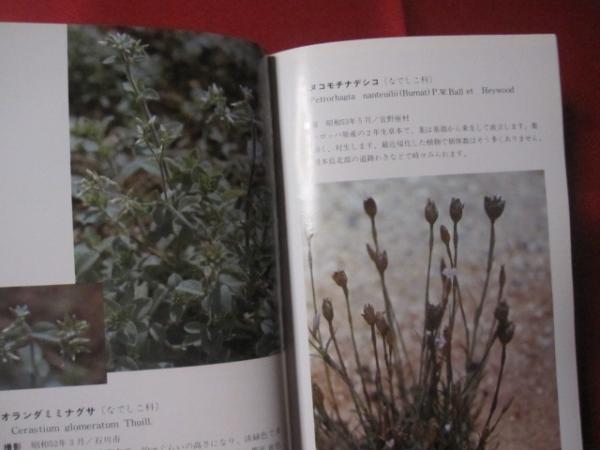 沖縄植物野外活用図鑑 第３巻 帰化植物 沖縄 琉球 自然 植物 野草 著者 池原 直樹 文華堂書店 古本 中古本 古書籍の通販は 日本の古本屋 日本の古本屋