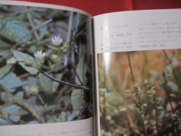 沖縄植物野外活用図鑑 第３巻 帰化植物 沖縄 琉球 自然 植物 野草 著者 池原 直樹 文華堂書店 古本 中古本 古書籍の通販は 日本の古本屋 日本の古本屋