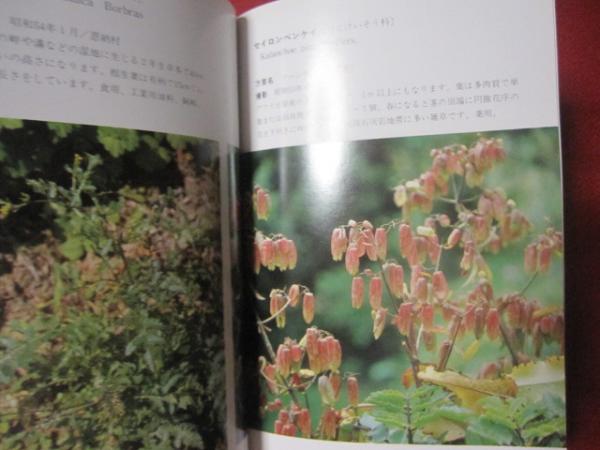 沖縄植物野外活用図鑑 第３巻 帰化植物 沖縄 琉球 自然 植物 野草 著者 池原 直樹 文華堂書店 古本 中古本 古書籍の通販は 日本の古本屋 日本の古本屋