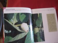 熱帯の果実 　　　　　●性状・栽培・利用法とエピソード　 　　　　　　 【沖縄・琉球・植物・自然・生物・果樹・フルーツ・くだもの】