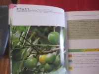 熱帯の果実 　　　　　●性状・栽培・利用法とエピソード　 　　　　 【沖縄・琉球・植物・自然・生物・果樹・フルーツ・くだもの】