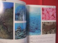 太陽の贈り物 　  南の海の生き物さがし 　  琉球弧・奄美の海から  　 【奄美・沖縄・琉球・自然・生物】