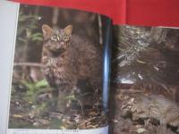 日本絶滅危機動物図鑑　　　　 レッドデータアニマルズ　　　　　 【自然・生物・動物・環境】