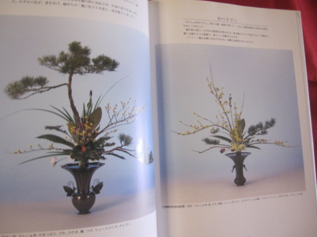 上津原將仁立華作品集 つれづれの記 池坊専永監修 華道 文化 生け花 趣味 監修 池坊 専永 著者 上津原 將仁 編集 日本華道社編集部 古本 中古本 古書籍の通販は 日本の古本屋 日本の古本屋