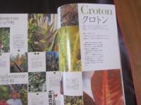 うるま 　　  　特集：太陽の花　　    　沖縄の元気を伝える亜熱帯マガジン。   　　　◎２００３年２月号・No.５９   　　　　　　【沖縄・琉球・歴史・文化】・自然
