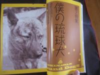 うるま 　　  　特集：太陽の花　　    　沖縄の元気を伝える亜熱帯マガジン。   　　　◎２００３年２月号・No.５９   　　　　　　【沖縄・琉球・歴史・文化】・自然